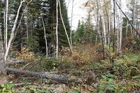 Am Lac Taureau