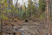 Am Lac Taureau