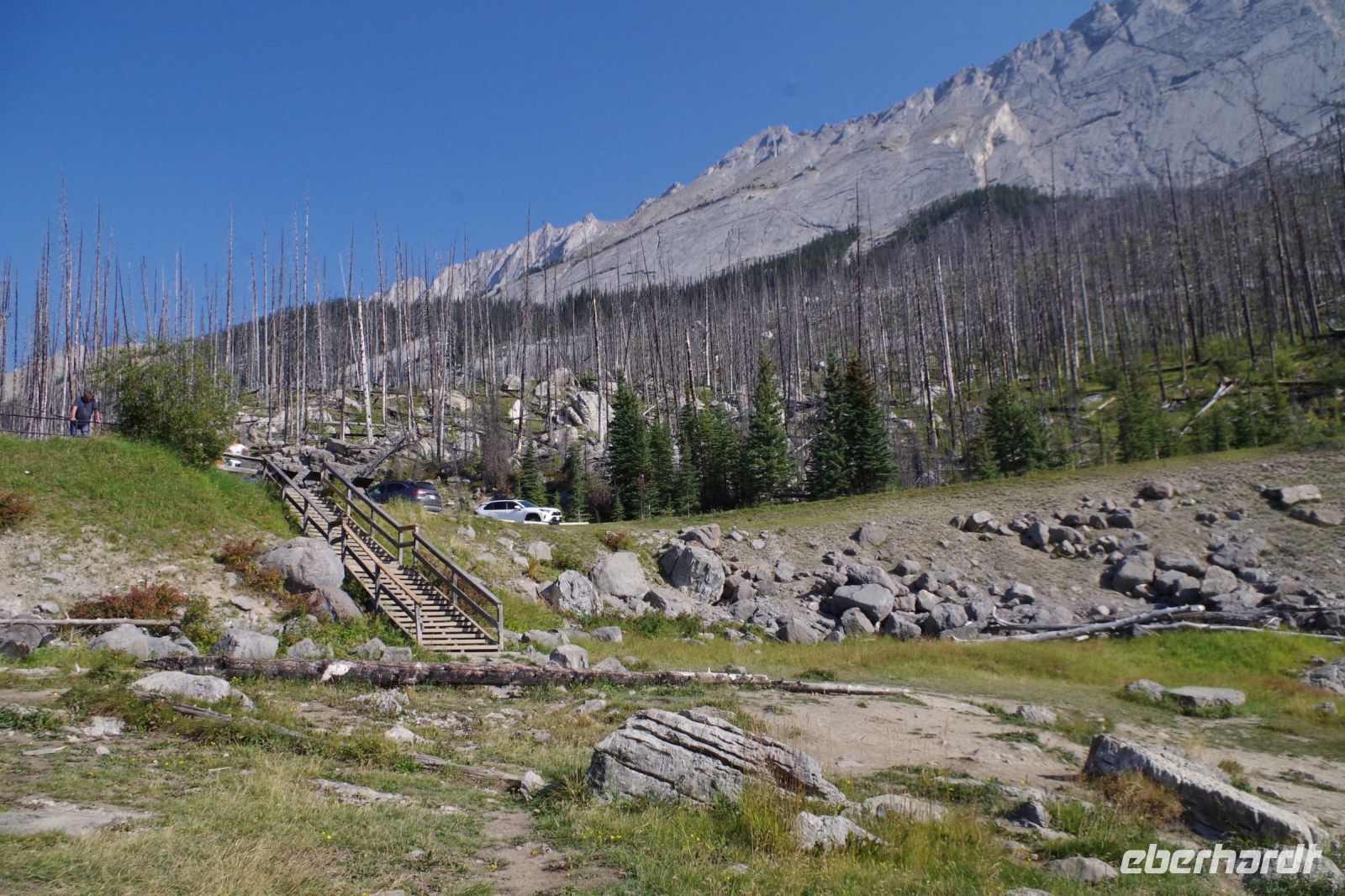 Am Medicine Lake