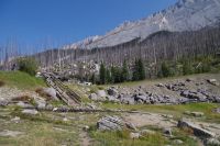 Am Medicine Lake