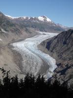 Am Salmon Gletscher