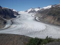 Am Salmon Gletscher