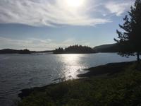 Am Skeena River nach Prince Rupert