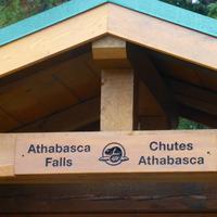 Athabasca Fall
