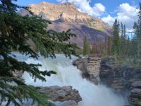 Athabasca Falls 