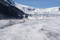 Athabasca Gletscher