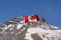 Athabasca Gletscher