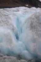 Athabasca Gletscher