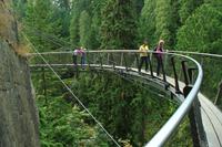 Auf dem Skywalk