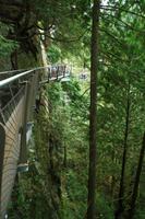 Auf dem Skywalk