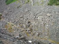 Ausflug 