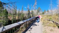 Ausflug zum Red Rock Canyon im Waterton-Nationalpark