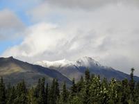 Bahnfahrt nach Fairbanks