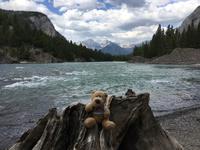 Banff - Bow River
