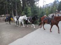 Banff Nationalpark 