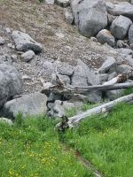 Begegnungen (1)