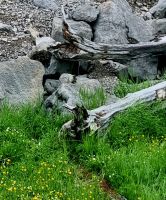 Begegnungen (2)