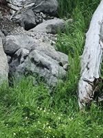 Begegnungen (3)