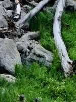 Begegnungen (4)