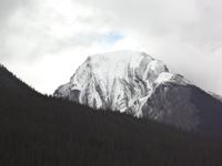 Bei Maligne Lake
