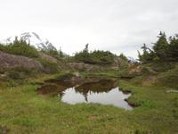 Bergsee in Alaska