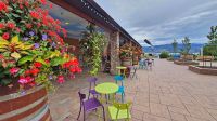 Besuch des Weinguts Summerhill Pyramid Winery in Kelowna