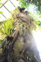 Biodome