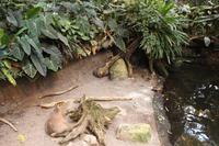 Biodome