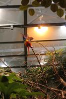 Biodome