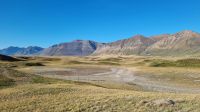 Bison Paddock bei Waterton