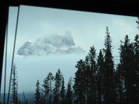 Blick aus dem Bus