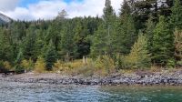 Bootsfahrt auf dem Upper Waterton Lake - Grenze Kanada-USA