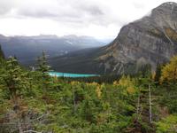 Bow Valley
