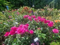 Buchart Garden (4)