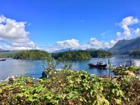 Bucht von Tofino
