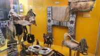 Buffalo Nations Luxton Museum in Banff
