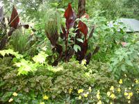 Butchard Gardens