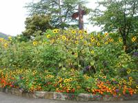 Butchard Gardens
