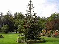 Butchard Gardens