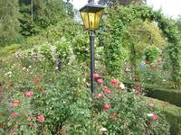 Butchard Gardens