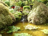 Butchard Gardens