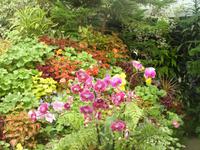 Butchard Gardens