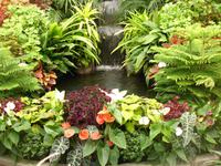 Butchard Gardens