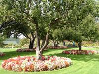 Butchard Gardens