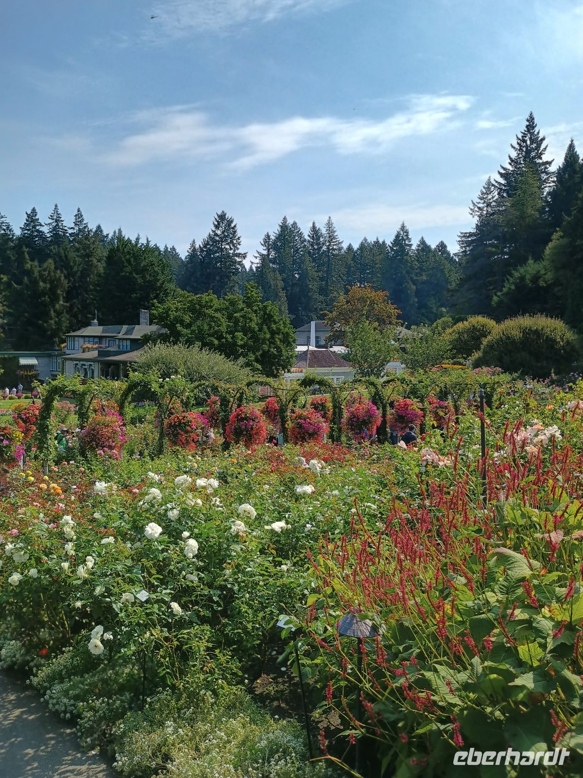 Butchart Gardens