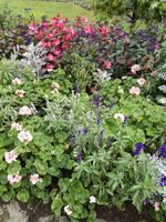 Butchart Gardens