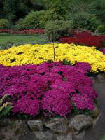 Butchart Gardens