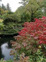 Butchart Gardens