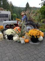 Butchart Gardens