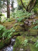 Butchart Gardens